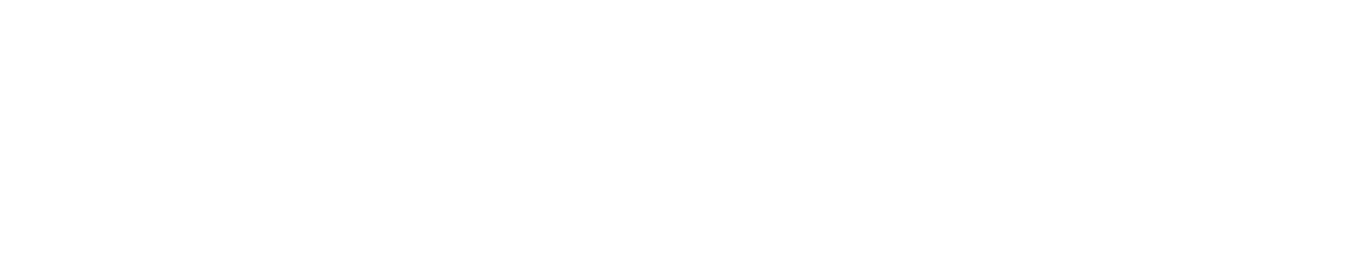 Ryushin Shouchi Ryu — calligraphy